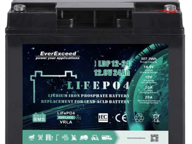 EverExceed LDP 12-24